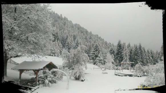 B&B Lo Scoiattolo Nebbiu ภายนอก รูปภาพ